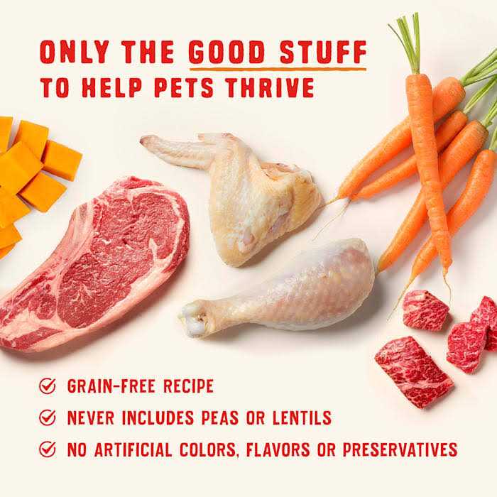 High Protein Chicken Stew Wet Dog Food U135