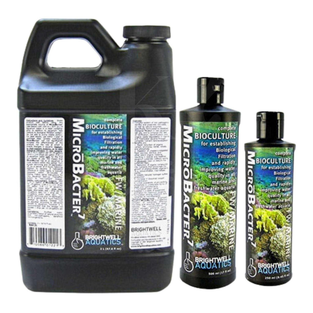 1 Liter X762428